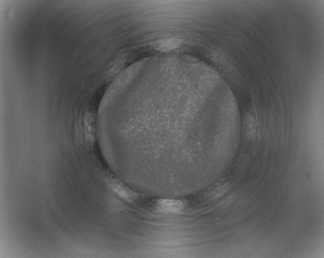 X0000064060234200602101538