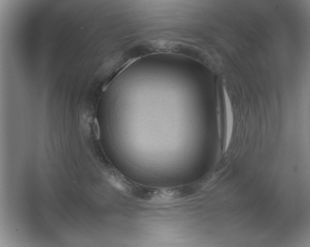 X0000064060235200602101538
