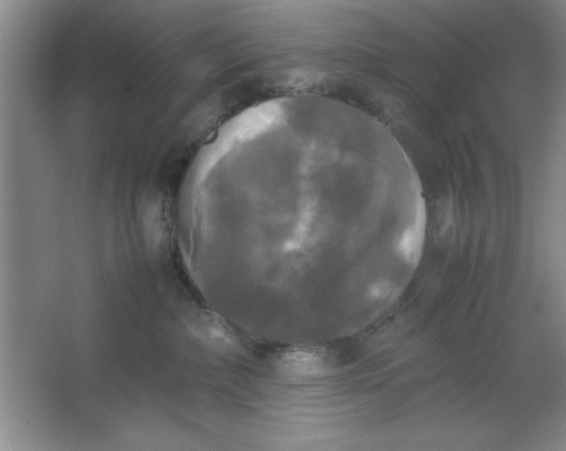X0000064060236200602101538
