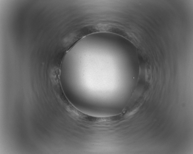 X0000064060237200602101538