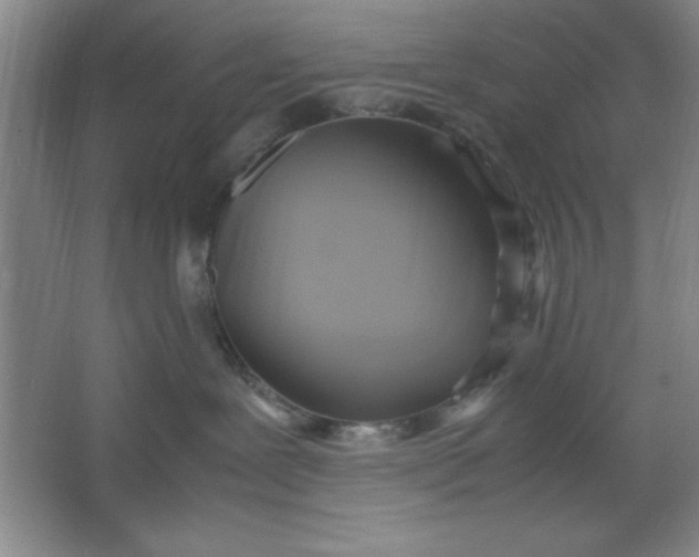 X0000064060239200602101538