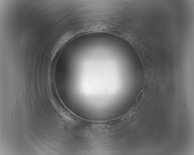X0000064060242200602101537