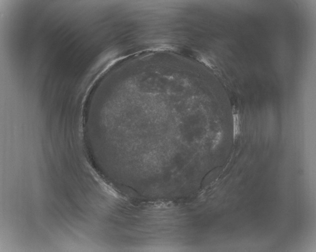 X0000064060243200602101537