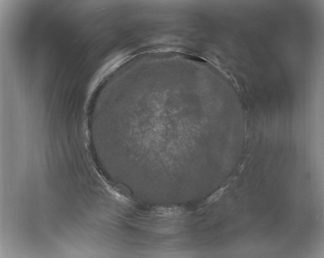X0000064060245200602101537