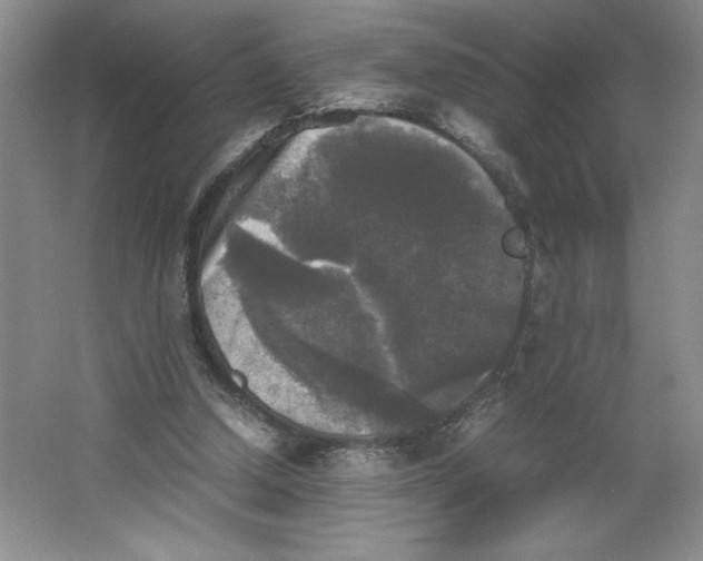 X0000064060250200602101538