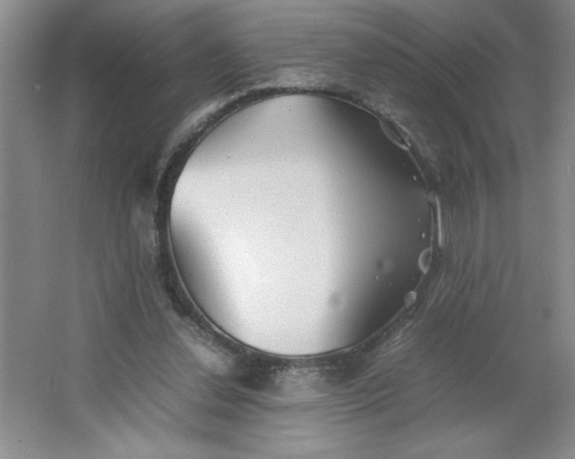 X0000064060252200602101538