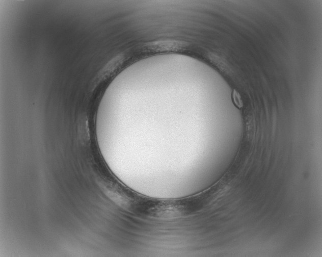 X0000064060254200602101538