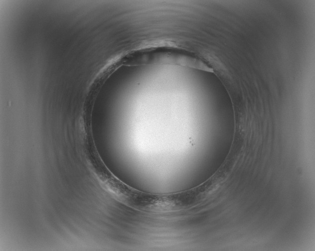 X0000064060256200602101538