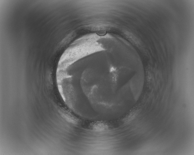 X0000064060258200602101538