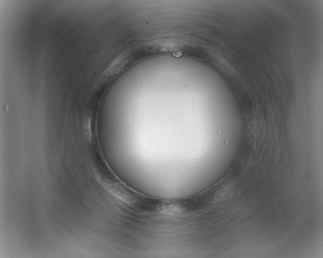 X0000064060262200602101538