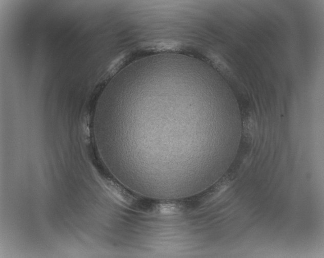X0000064060264200602101538