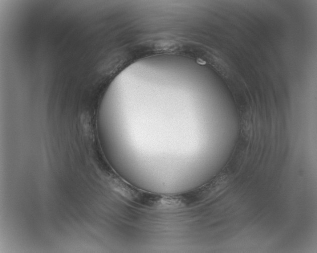 X0000064060270200602101538