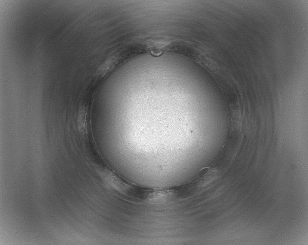 X0000064060274200602101538