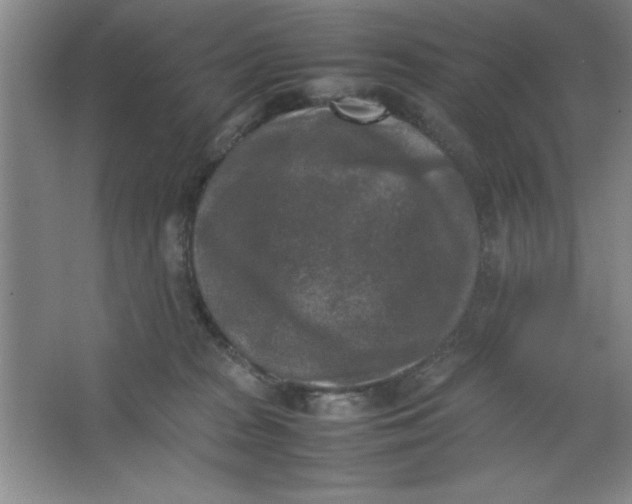 X0000064060277200602101538