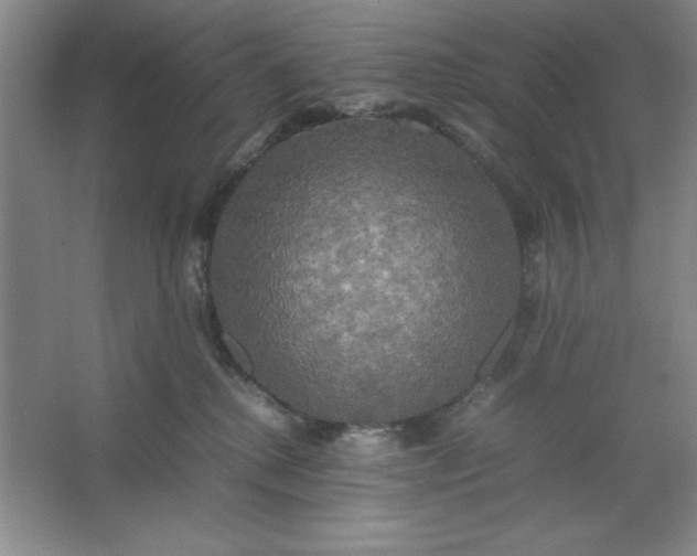 X0000064060280200602101538