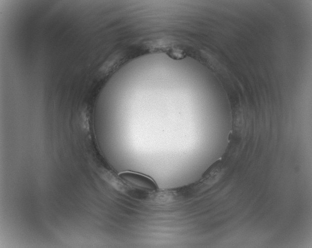 X0000064060282200602101538