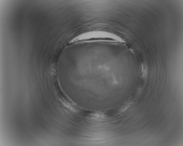 X0000064060284200602101538