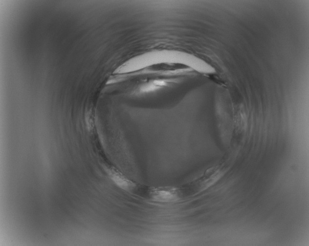 X0000064060285200602101538