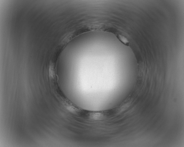 X0000064060287200602101538