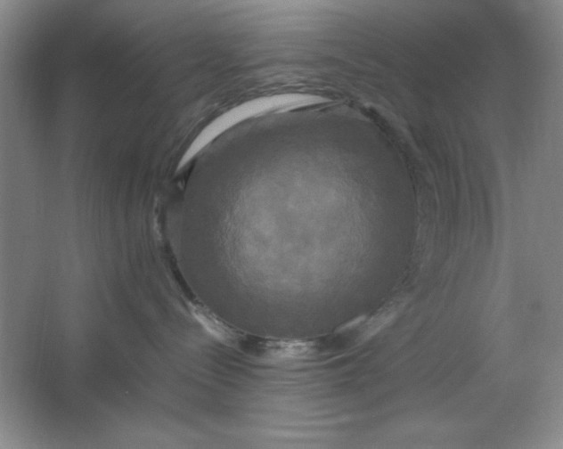 X0000064060288200602101538
