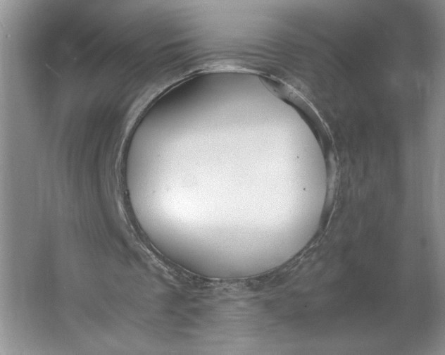 X0000064060289200602101537