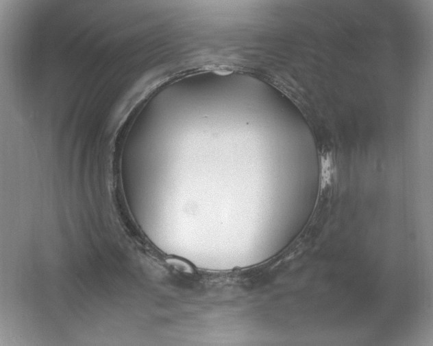 X0000064060291200602101537