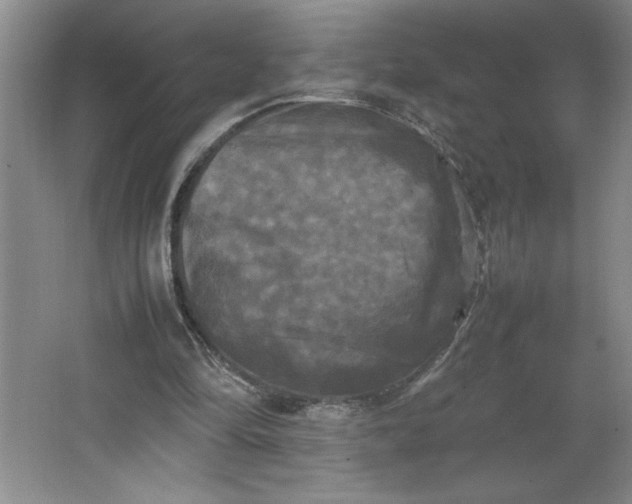 X0000064060294200602101537