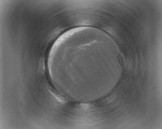 X0000064060302200602101537