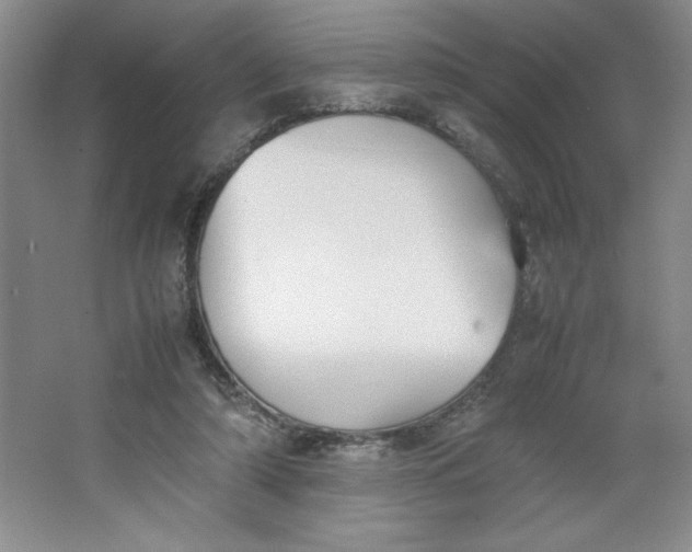 X0000064060306200602101537