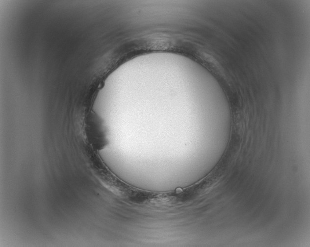 X0000064060307200602101537