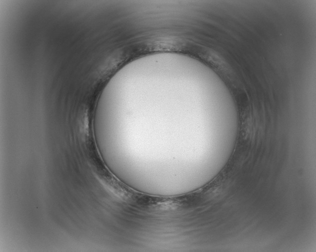 X0000064060310200602101537