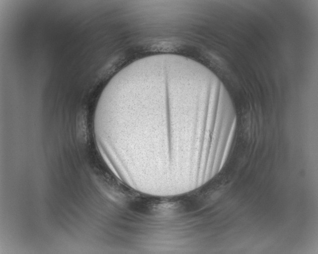 X0000064060312200602101537