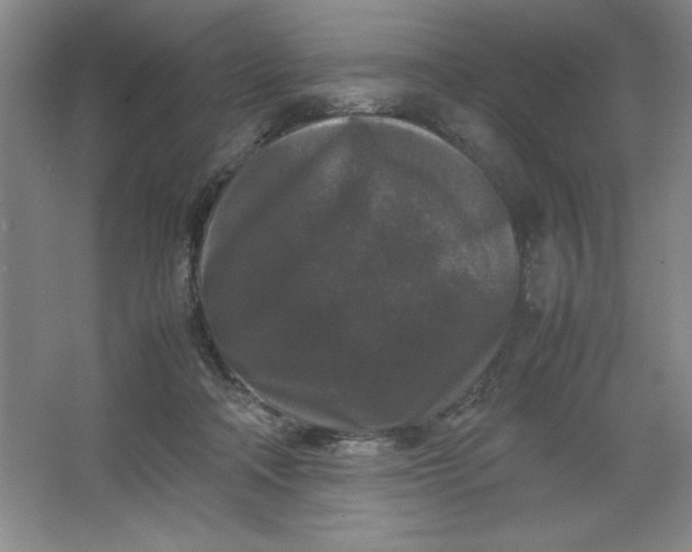 X0000064060314200602101537