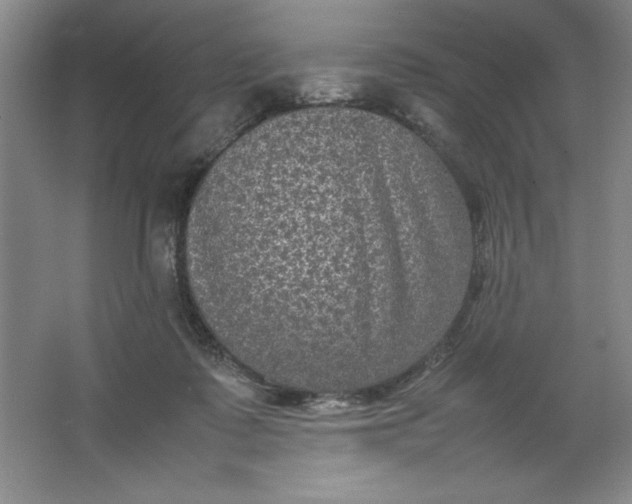 X0000064060315200602101537