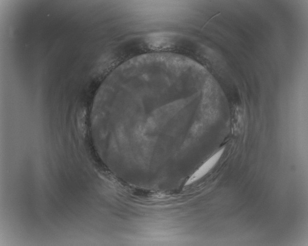 X0000064060319200602101537