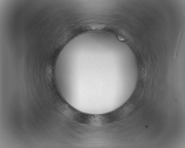 X0000064060321200602101537