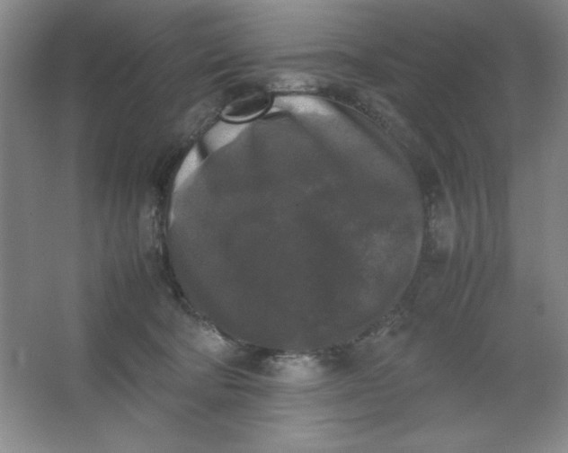 X0000064060322200602101537