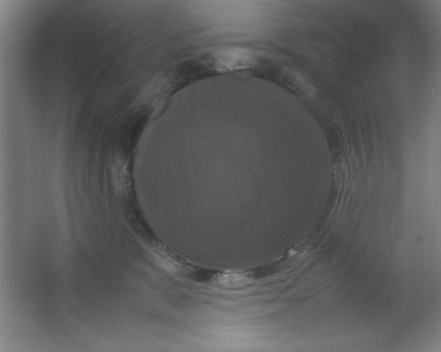 X0000064060327200602101537