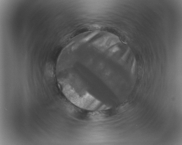 X0000064060331200602101537