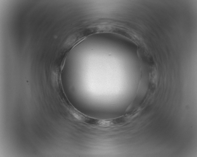 X0000064060333200602101537