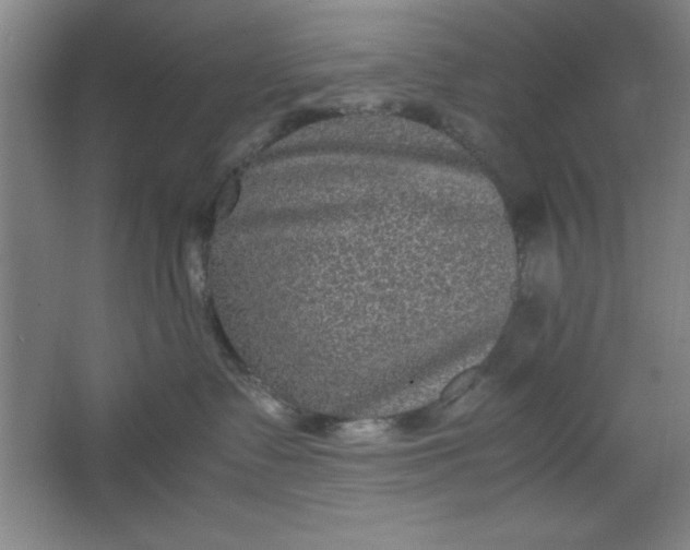 X0000064060335200602101537