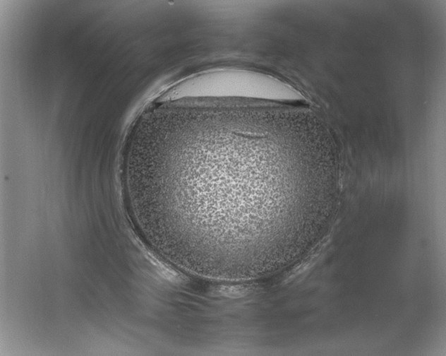 X0000064060341200602101536