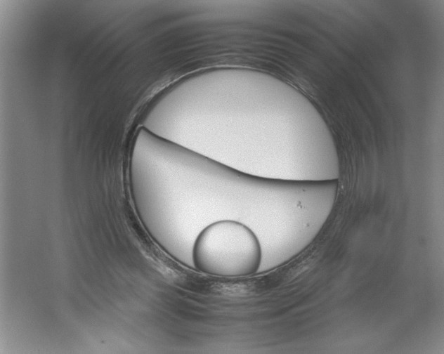 X0000064060349200602101536