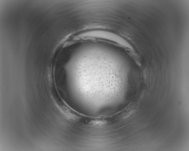 X0000064060352200602101536