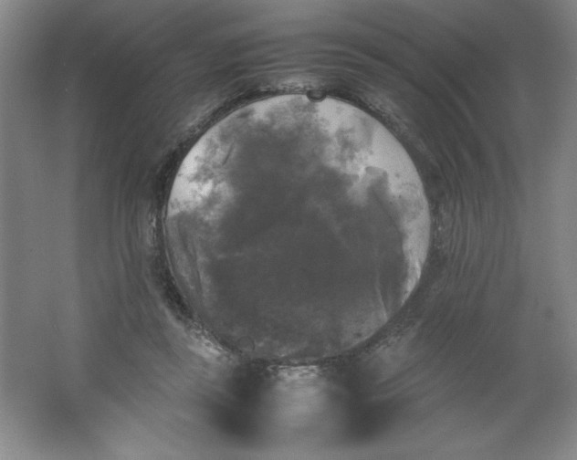 X0000064060355200602101536