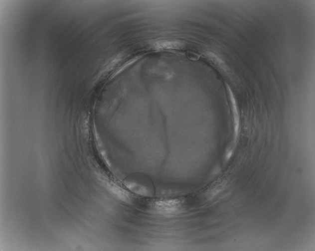 X0000064060357200602101536