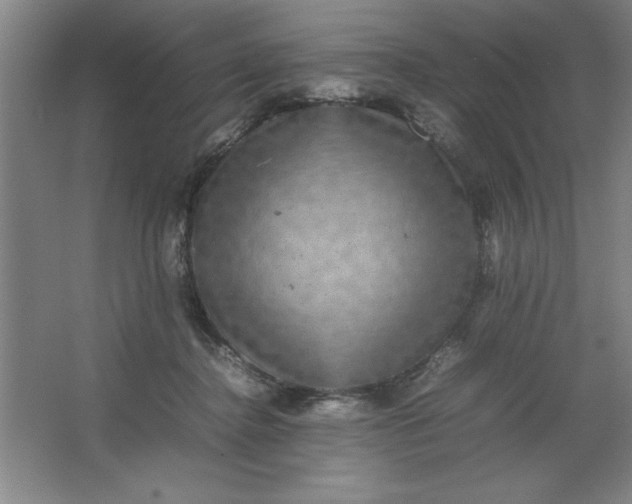 X0000064060364200602101536