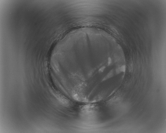 X0000064060366200602101536
