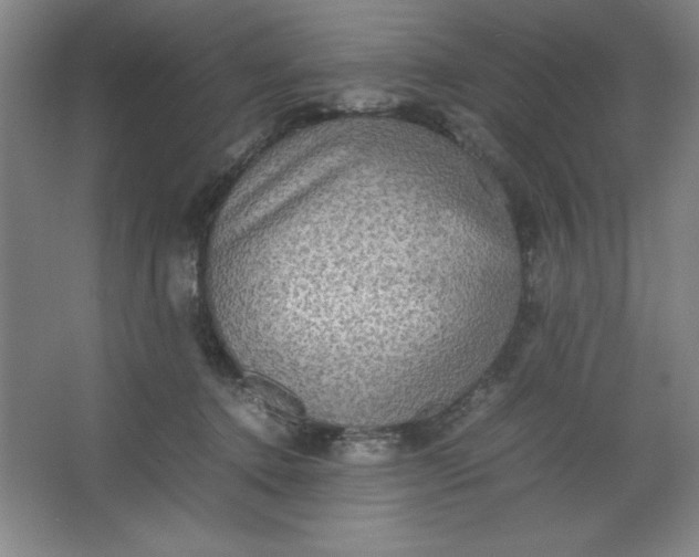 X0000064060368200602101536