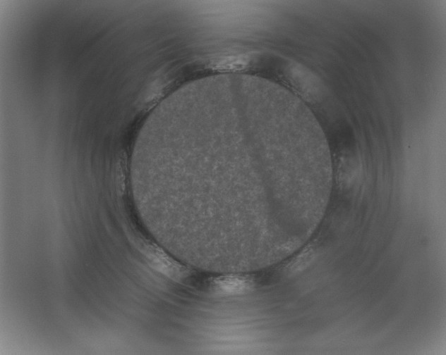 X0000064060370200602101536